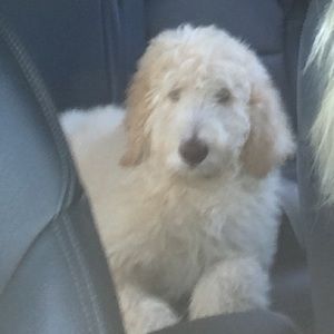 Meet your Posher, Erika